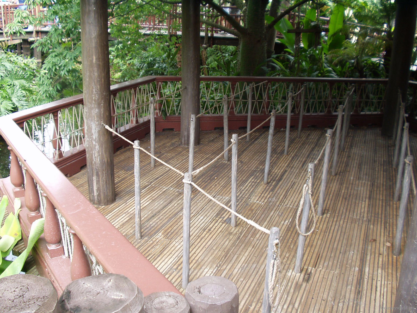 P8130033