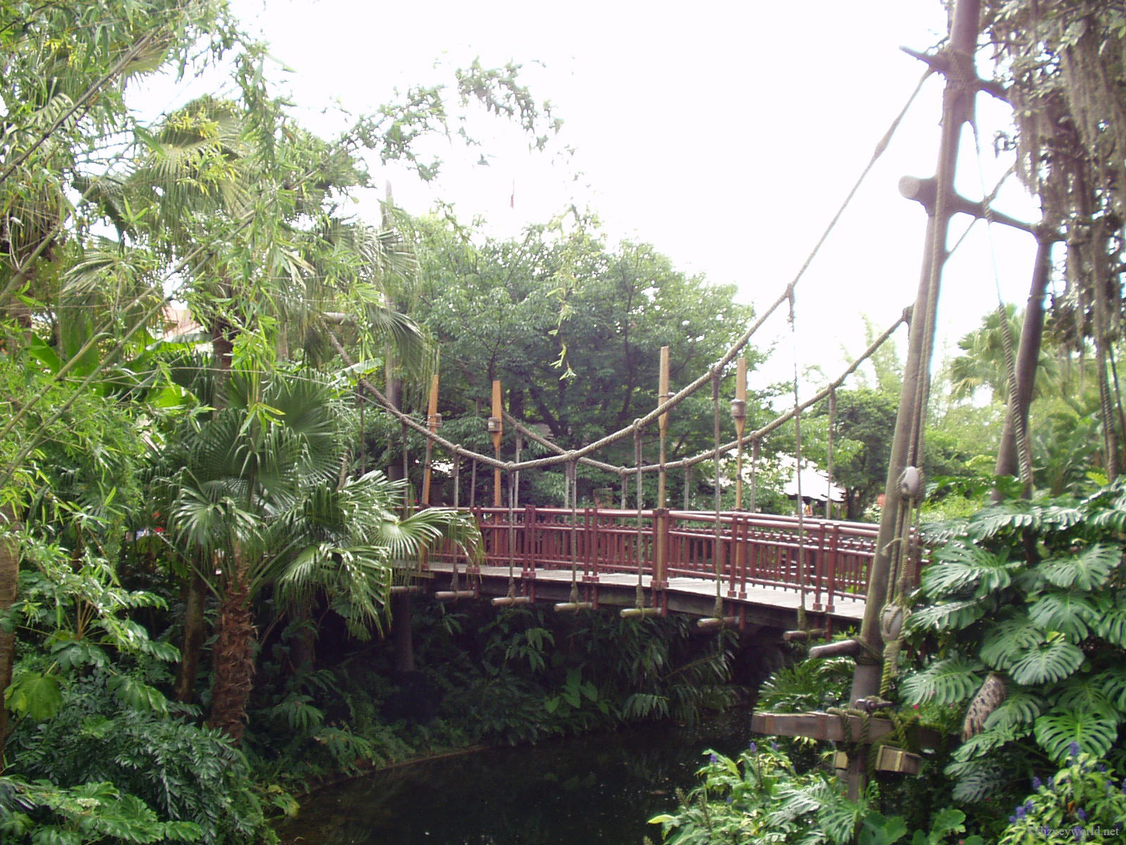 P8130050