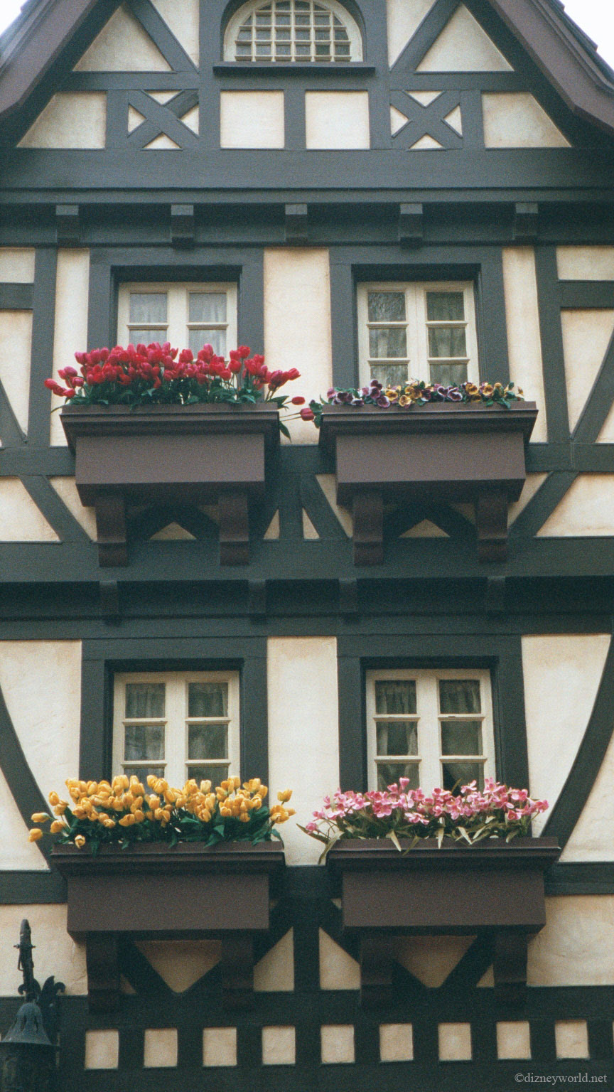 ls006_6