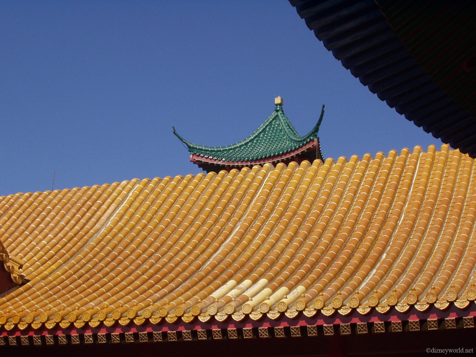 P8160129